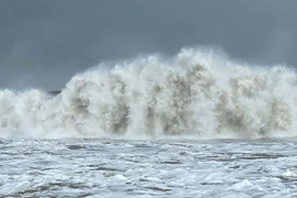 Bão Matmo giật cấp 13, tiến vào Biển Đông hôm nay