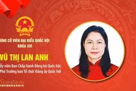 [Info] Tiểu sử bà Vũ Thị Lan Anh ứng cử Đại biểu Quốc hội khóa XVI 