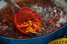 Chợ cá Thủ đô tấp nập trước ngày đưa tiễn ông Táo