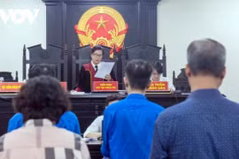 Đề xuất các trường hợp được tạm hoãn truy cứu trách nhiệm hình sự