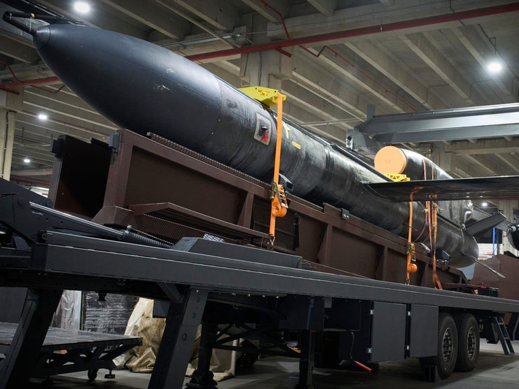 Le Flamingo présente une ressemblance frappante avec le FP-5, un modèle de missile de croisière autrefois exposé par Milanion. Le FP-5 est annoncé comme ayant une portée de 3 000 km, une vitesse de pointe de 950 km/h, une envergure de 6 mètres et un poids maximal de 6 tonnes. Des images du FP-5 sur le site web de Milanion le montrent également lancé depuis une remorque à deux essieux, presque identique à celle du Flamingo. 68a3f751cfc04e97619b9c29.jpg