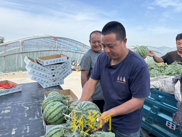 Nếu chỉ xét về hình dáng bên ngoài, các loại dưa không có nhiều khác biệt. Nhưng với những người như Bạch Xuyên Hương - một thợ "nội soi" dưa tại đây - chỉ cần búng ngón tay hai lần là có thể biết được món nào chín vừa và món nào chưa chín. Khi dưa hấu chín, ông sẽ dùng tài năng chọn dưa hấu độc đáo của mình để giúp các thương gia gần xa đến xem và chọn dưa hấu, để mọi người đến với niềm vui và ra về với sự hài lòng.