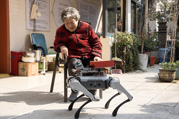 Các ứng dụng bao gồm hỗ trợ người khuyết tật hoặc người bị suy giảm nhận thức, cung cấp hỗ trợ cảm xúc, cải thiện sức khỏe, tích hợp nhà thông minh và giúp đỡ các hoạt động hàng ngày.