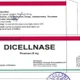 Hà Nội thông báo khẩn thu hồi thuốc Viên nang cứng Dicellnase trị xương khớp