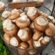 Lợi ích bất ngờ của nấm hương