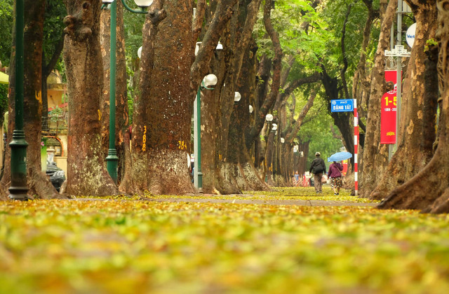 70 năm văn hóa Hà Nội: Yêu từng góc phố, tiếng rao đêm... - Hình 3 70 nam van hoa Ha Noi: Yeu tung goc pho, tieng rao dem...-Hinh-3