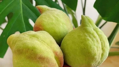 Đào mỏ quạ bán đầy chợ, phân biệt hàng Việt và Trung Quốc thế nào?
