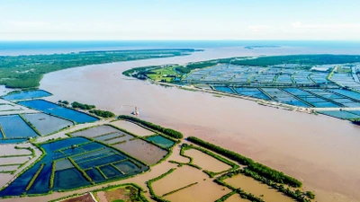 Cận cảnh khu vực sẽ xây "siêu cảng" lớn nhất Nam Định