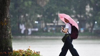 Thời tiết Hà Nội 3 ngày tới: Mưa giông nhiều vào chiều tối