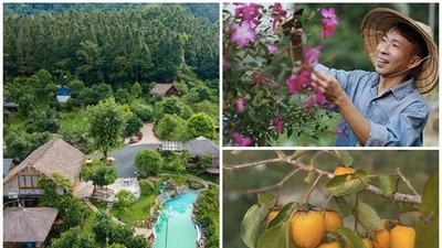 Bên trong nhà vườn 10.000m2 ở Hà Nội của "ông hoàng nhạc đỏ"