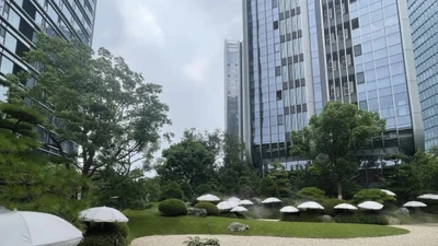 Bên trong khu chung cư chi “núi tiền” thuê ô che nắng cho cây