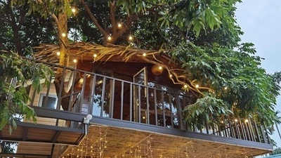 Cận cảnh ngôi nhà trên cây 130 triệu độc nhất Hà Nội 