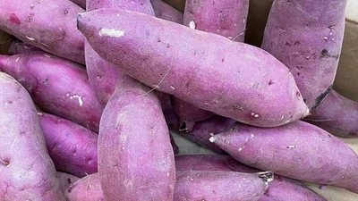 Giật mình khoai lang Nhật xách tay gần triệu đồng/kg 