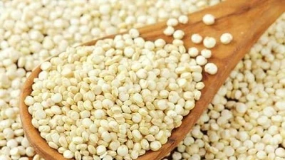 Loại hạt chống đói thời bao cấp thành đặc sản được săn lùng 