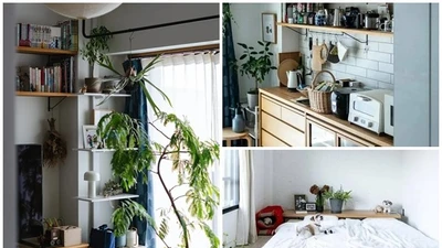 Mê mẩn căn hộ 55m2 "chất lừ" cô nàng độc thân