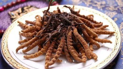 “Tiên dược” chốn núi cao hơn 2 tỷ/kg có gì đặc biệt?