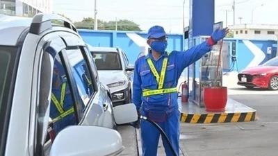 Loại ôtô nào tại Việt Nam có thể sử dụng được xăng E10?