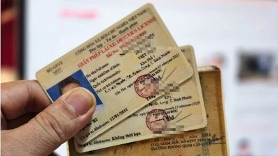 Những trường hợp không được đổi bằng lái xe theo quy định 