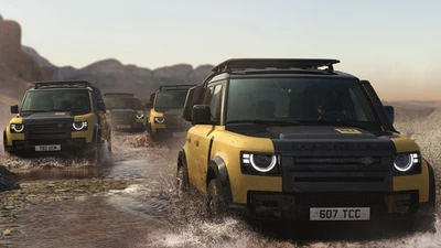 Ngắm Land Rover bán Defender bản đặc biệt Trophy ra mắt