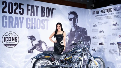 Chi tiết Harley-Davidson Fat Boy Gray Ghost hơn 1,5 tỷ tại Việt Nam
