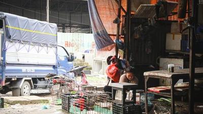 Không đảm bảo vệ sinh, những điểm giết mổ gia cầm ở Hà Nội vẫn ngang nhiên hoạt động