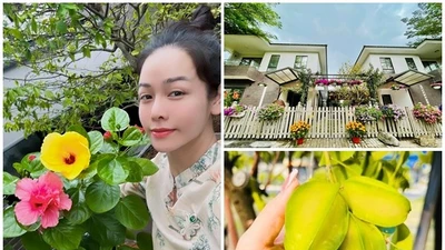 Cận cảnh biệt thự 220m2 có hồ cá Koi của Nhật Kim Anh 