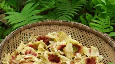 Đặc sản xưa rụng thối gốc nay dân phố thi nhau "lùng mua"