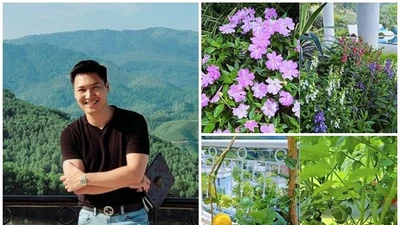 Ngắm biệt thự ngập hoa trái của diễn viên Mạnh Trường 