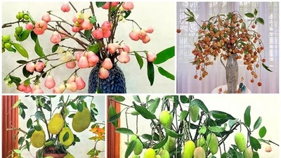 Những bình quả lạ trang trí nhà đẹp mê mẩn đang gây sốt 