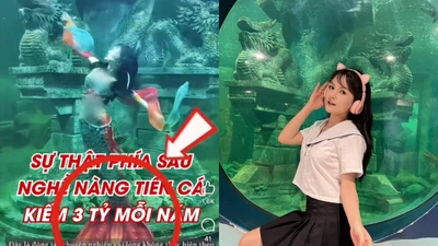 "Nàng tiên cá" chuyên nghiệp nói về tin đồn thu nhập khủng