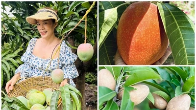 Vườn cây trái trĩu trịt giữa lòng Sài Gòn của Mỹ Lệ 
