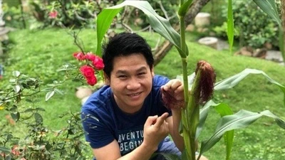 Nhà vườn quanh năm thu hoạch rau trái của "Vua nhạc đỏ" 