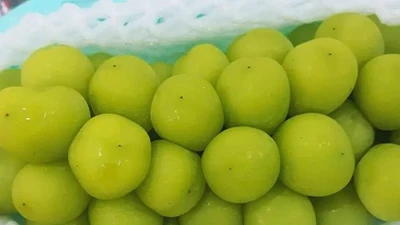 Nho sữa Trung Quốc rớt giá “chạm đáy” chỉ 15.000 đồng/kg