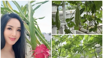 Vườn sân thượng trĩu quả trong biệt thự 1.000m2 của Giáng My