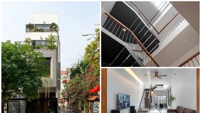 Chiêm ngưỡng ngôi nhà như "ốc đảo xanh" giữa lòng Hà Nội 