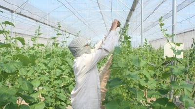Hà Nội đề xuất cho phép xây dựng công trình trên đất nông nghiệp