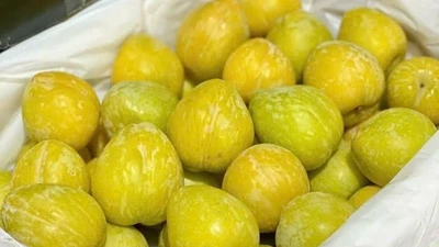 Mận cau Trung Quốc “rớt giá” chỉ 25.000 đồng/kg