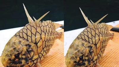 Tận thấy loài cá nghe như trái cây 400.000/kg có tiền cũng khó mua
