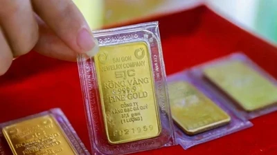 Giá vàng hôm nay 14/8: Đảo chiều bật tăng?