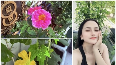 Khu vườn rực rỡ sắc hoa trong biệt thự của Khánh Đơn 