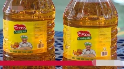 Công ty An Dương, An Hưng Phước “đồng phạm” buôn Dầu ăn OFood gia súc cho người?