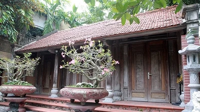Cận cảnh ngôi nhà gỗ sưa được trả trăm tỷ chủ không bán