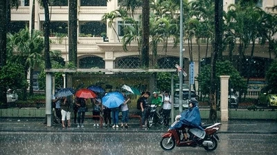 Thời tiết hôm nay 13/7: Bắc Bộ và Bắc Trung Bộ có mưa to