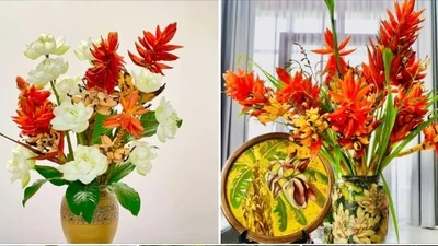 Từ bản xuống phố, cây mọc dại thành thú chơi đắt khách 