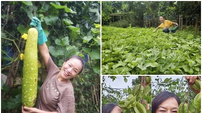 Khu vườn giản dị ngập rau trái của diễn viên Tú Oanh
