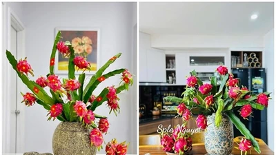 Vài trăm một set cành quả thanh long, chị em thi nhau mua 