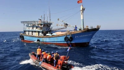 Thủ tướng giao Bộ Quốc phòng chủ trì xử lý các tàu cá "3 không"