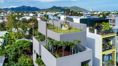 Nhà phố ngập cây xanh, đẹp tựa resort giữa rừng bê tông 