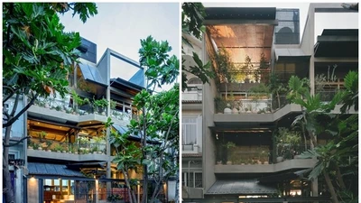 Ngôi nhà khép kín "lột xác" thành không gian ngập nắng gió