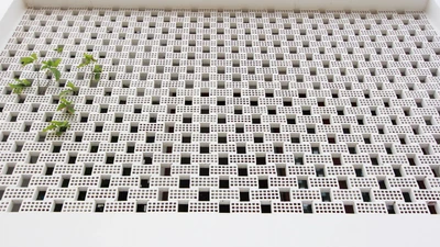 Ngôi nhà với mặt tiền gạch rỗng độc đáo ở Thanh Hóa